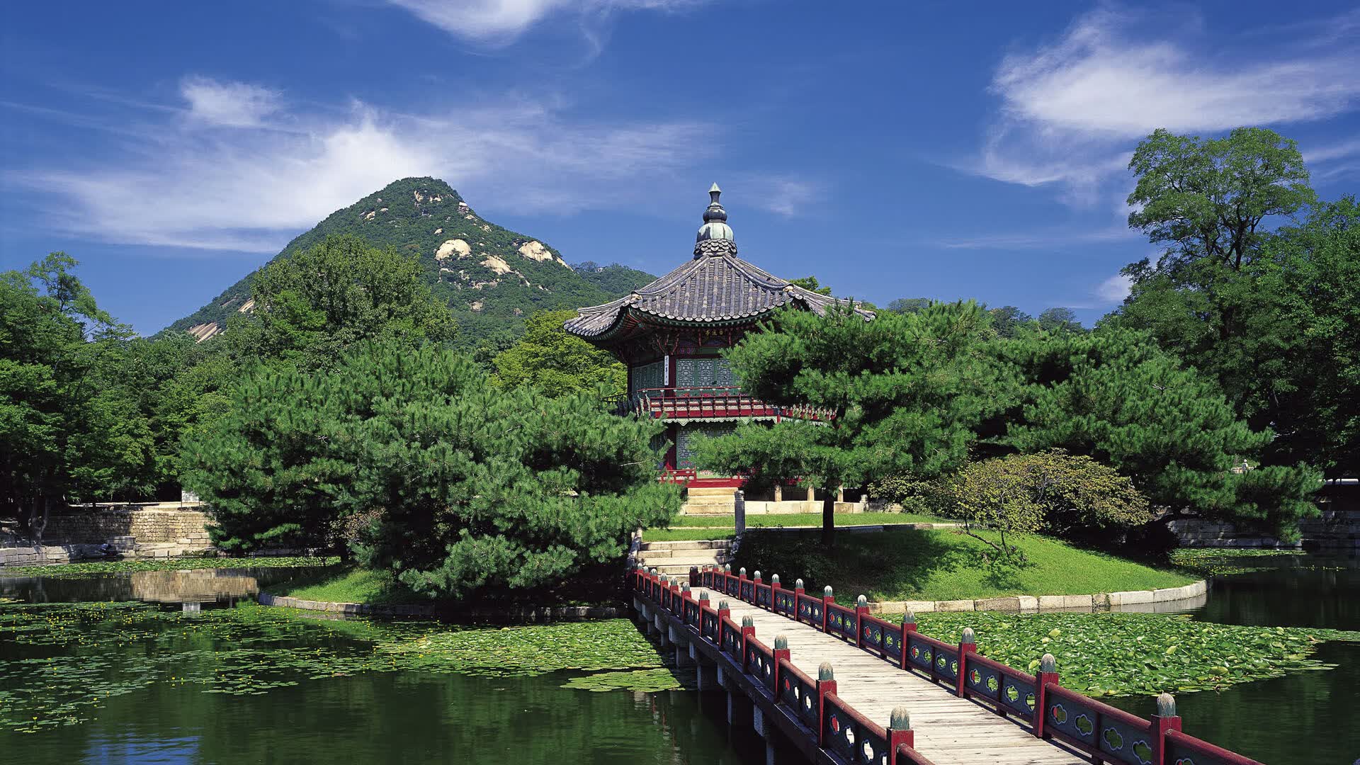 世界攀岩场馆会员权益优化方案与实施时间表，国际攀岩比赛场地要求